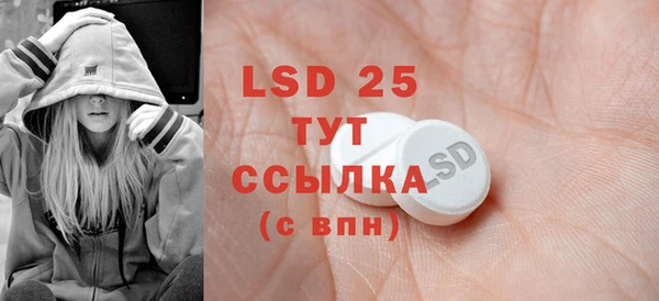 хмурый Бородино