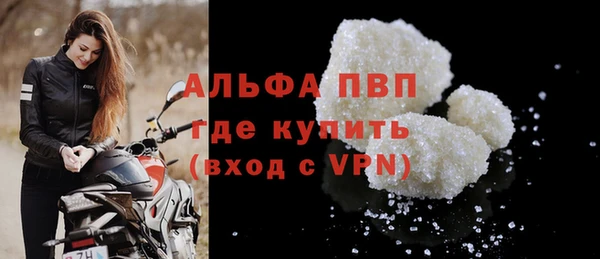 сатива Богданович