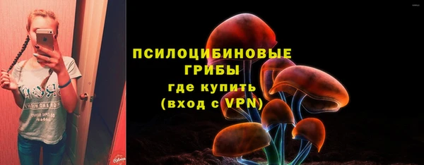 MDMA Богородск