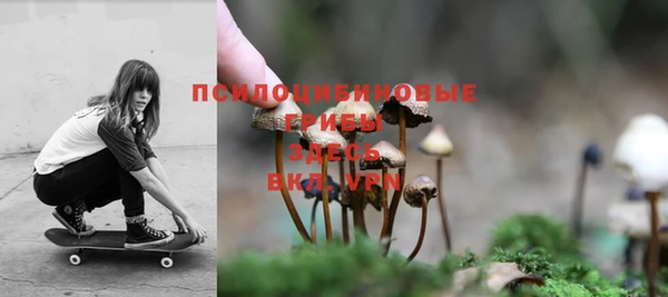 хмурый Бородино