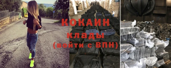 хмурый Бородино