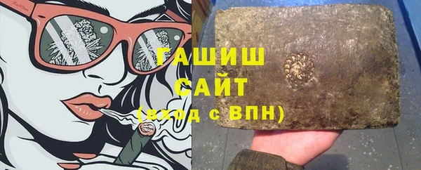 хмурый Бородино