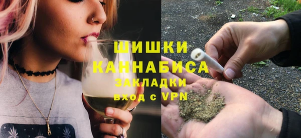 хмурый Бородино