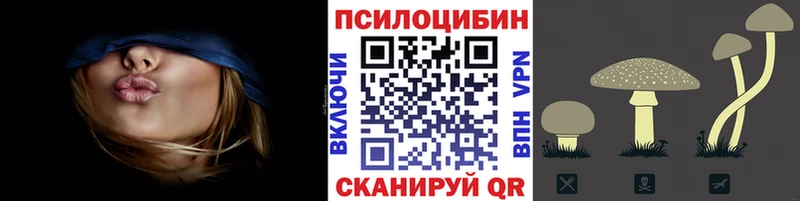Псилоцибиновые грибы Psilocybine cubensis  Невельск 